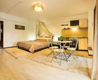 Апарт-отели IL Primo Apartments Яссы Улучшенный двухместный номер с 1 кроватью-1